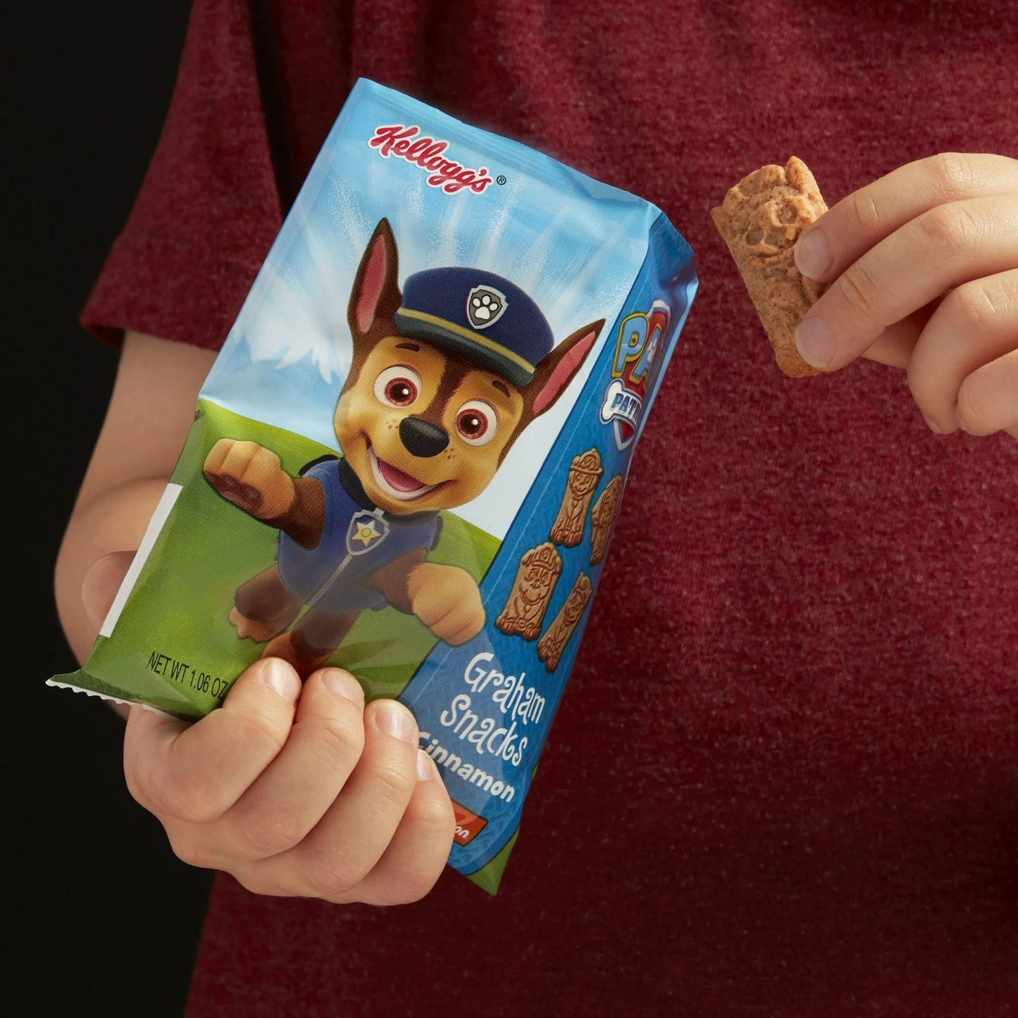 Paw Patrol Graham Snacks