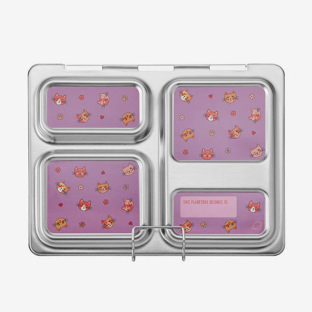 PlanetBox Launch Magnets